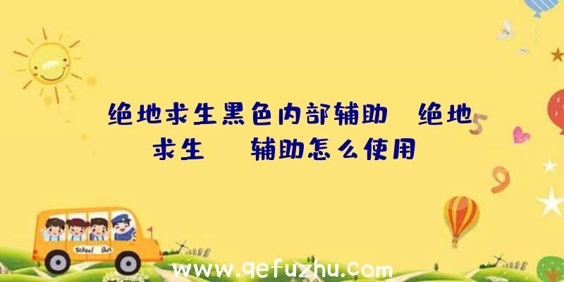 「绝地求生黑色内部辅助」|绝地求生rng辅助怎么使用